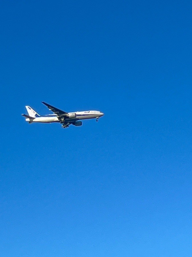 青い空と飛行機