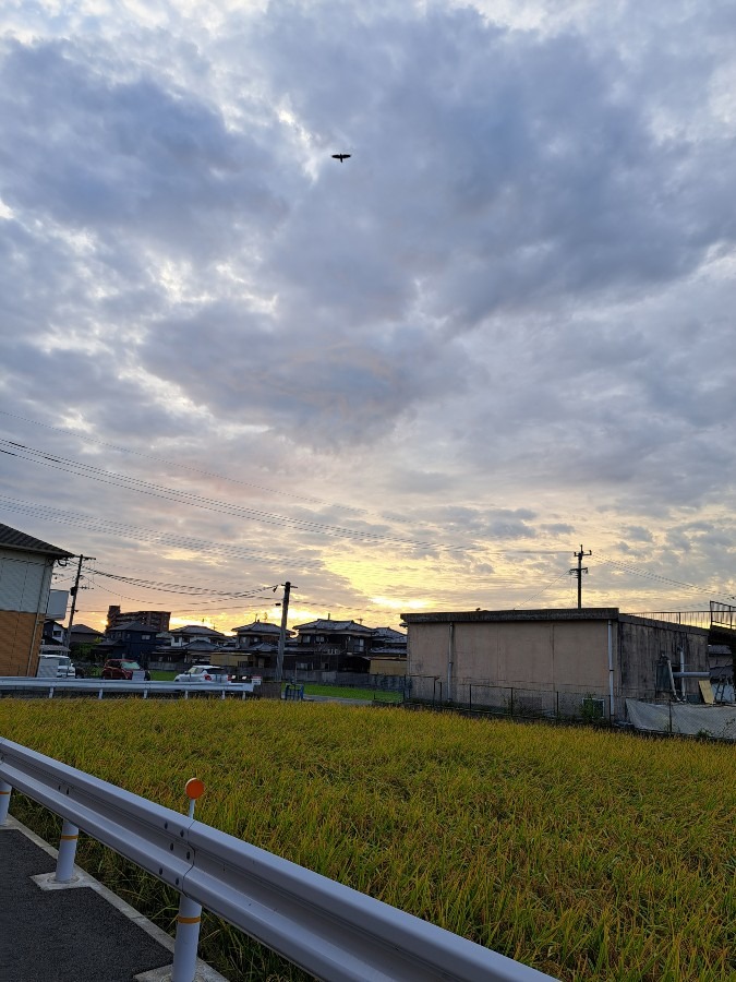 9/25　今朝の空