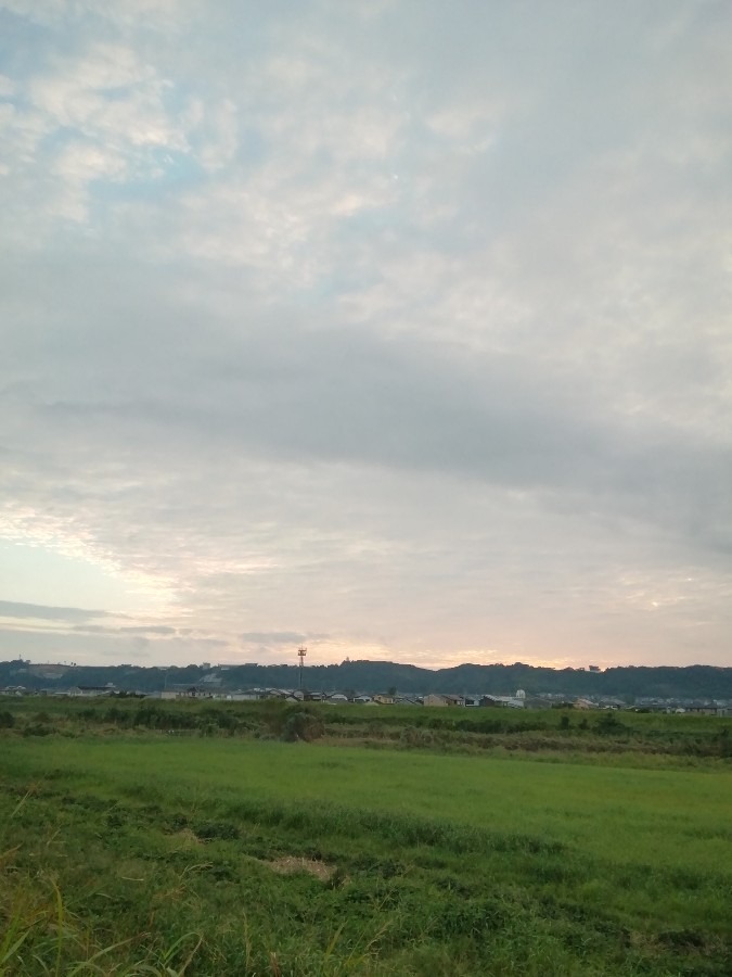 今朝の空