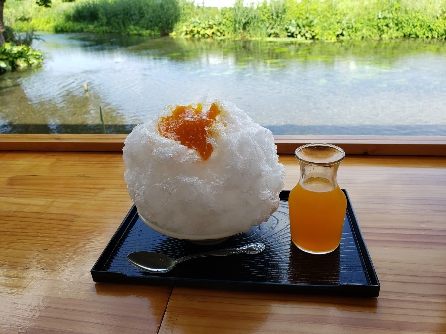 　　かき氷🍧