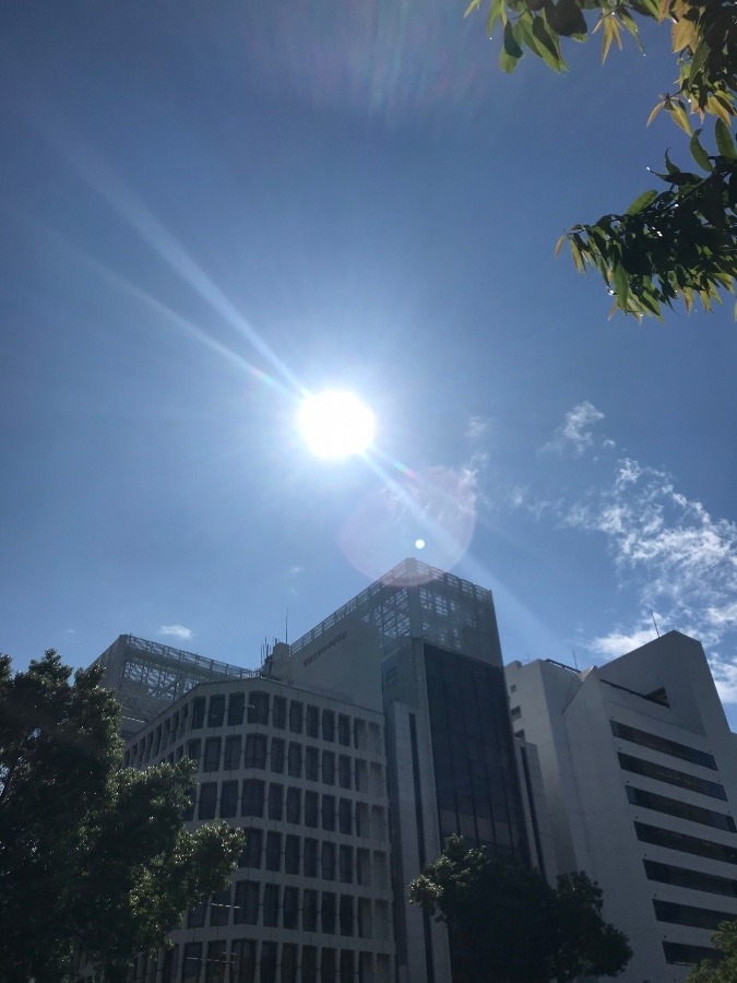 出勤前の空✨