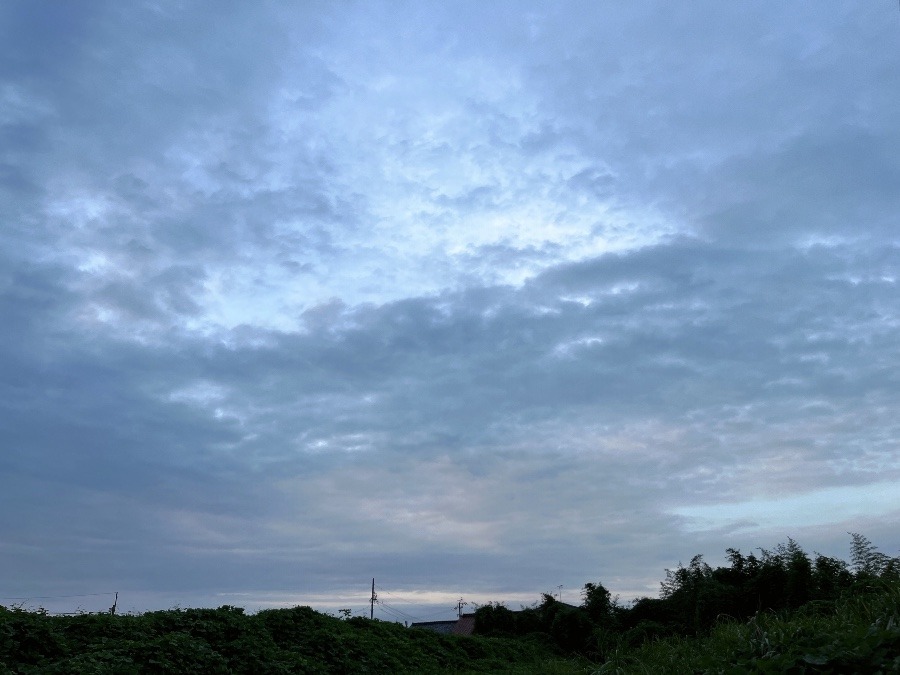 朝の空