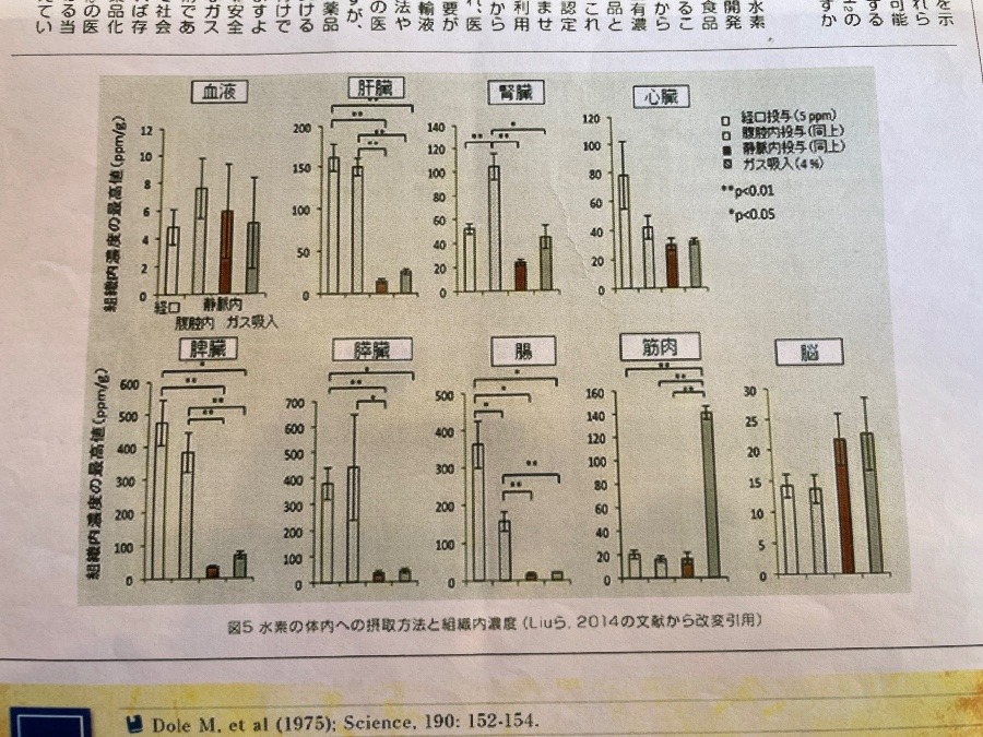 水素分子の生体内動態！