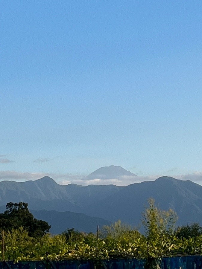 山梨側からの富士山