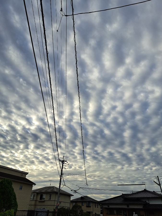 朝の散歩の風景　雲の模様