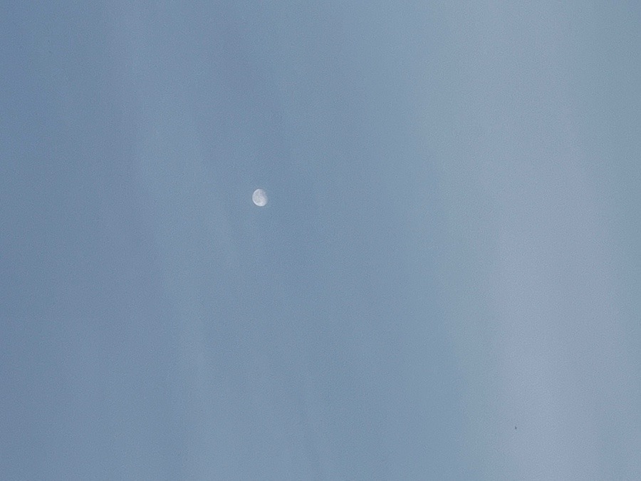 朝の空