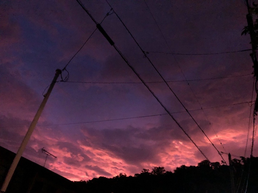 今朝の東の空