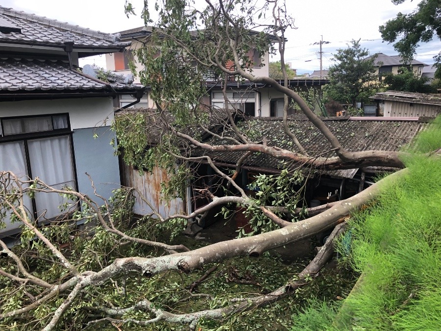 台風の影響