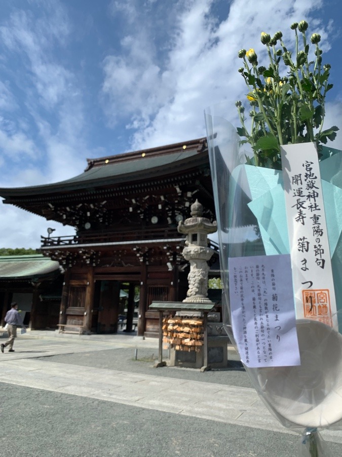 一日参り