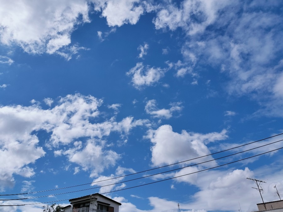 夏の空風は秋