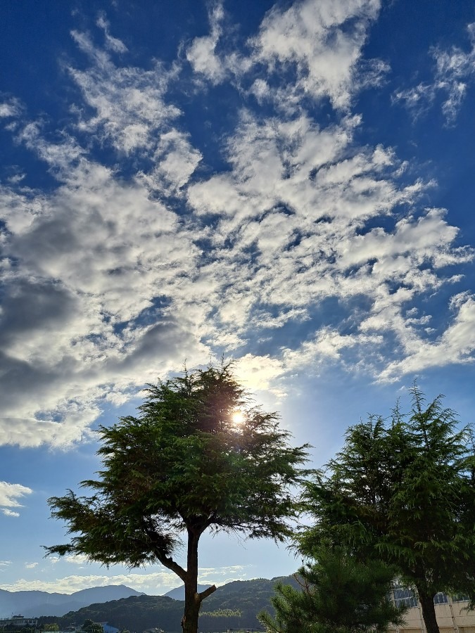 仕事さきの風景