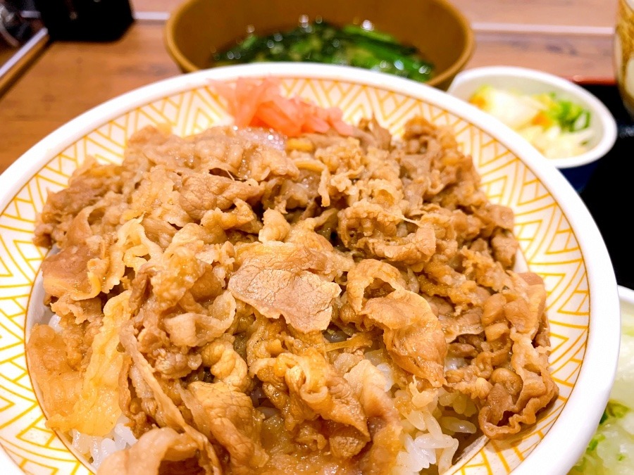 ☆すき家の牛丼☆