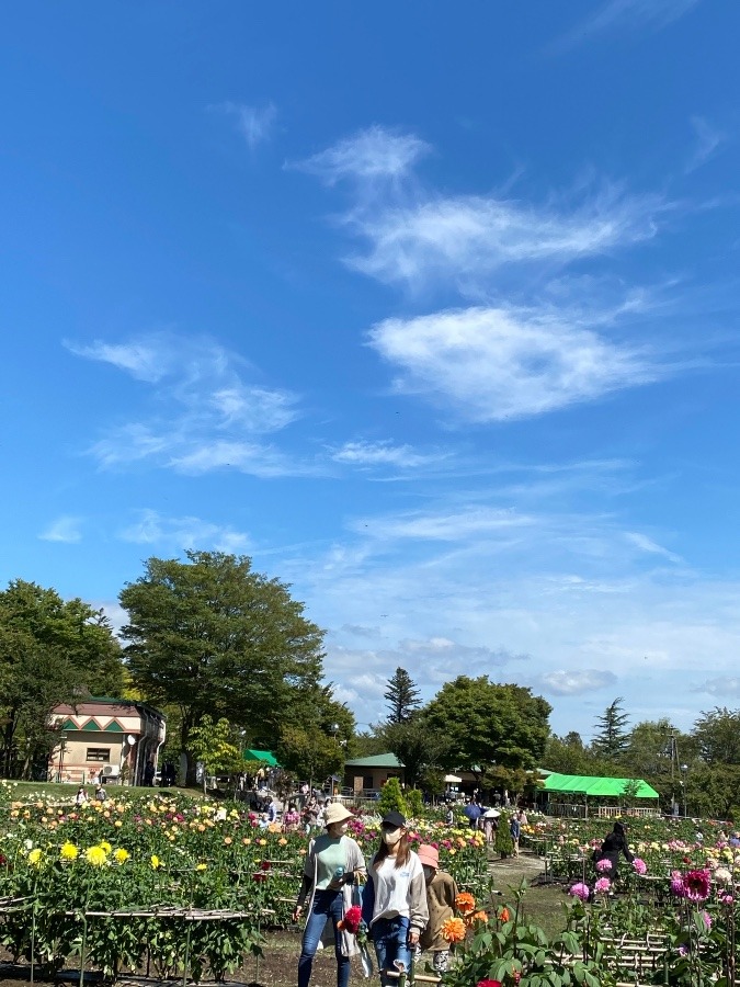 青空☀️☀️☀️