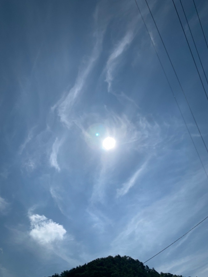 ✨太陽✨