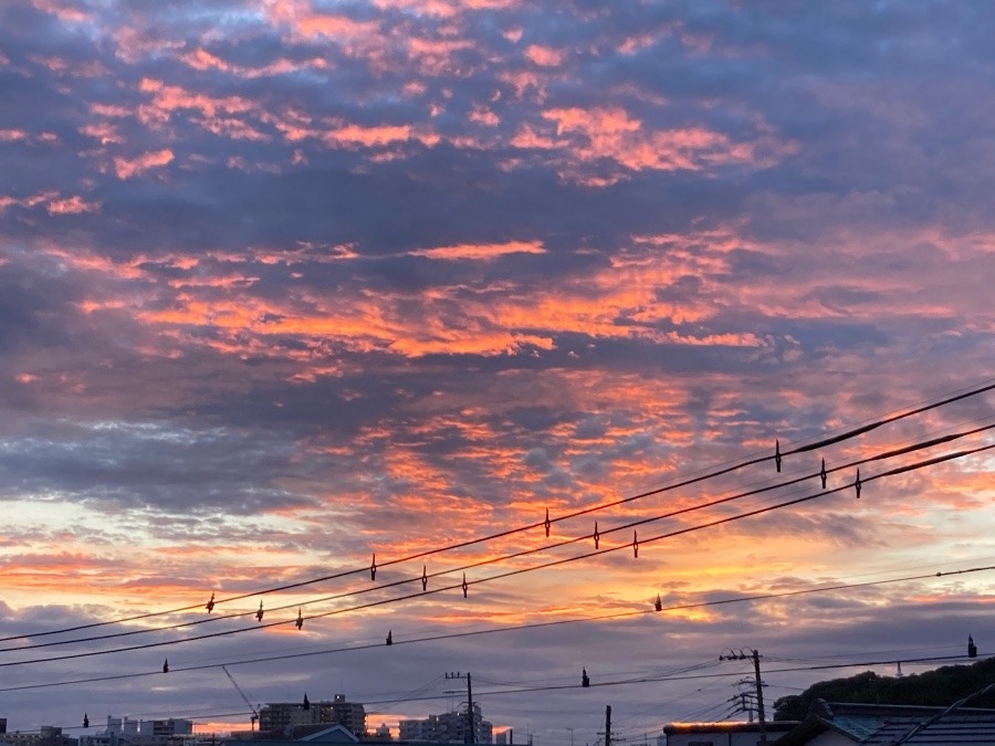 綺麗な夕焼け♪