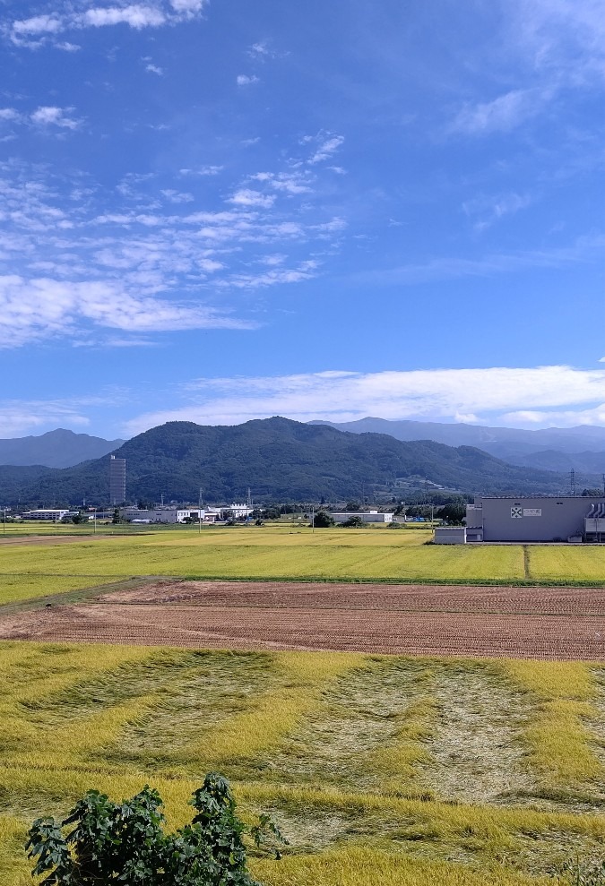 青空🌤️🎵