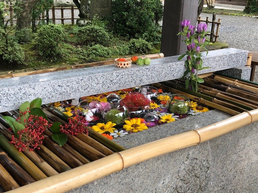 竹駒神社　⑷ ⛩⛩⛩⛩
