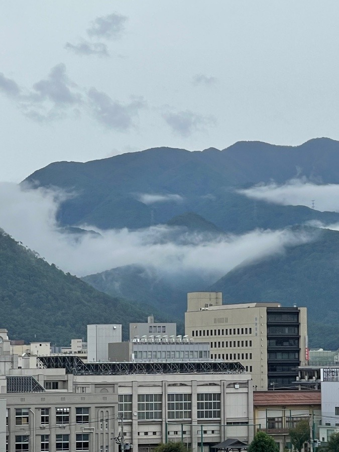 雲海