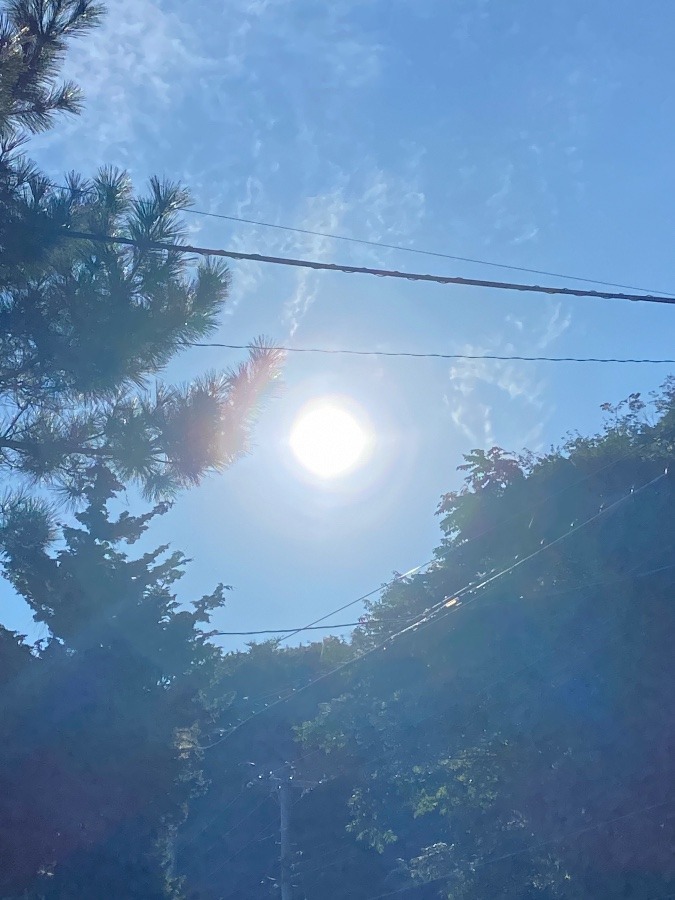 おはよう☀️☀️☀️