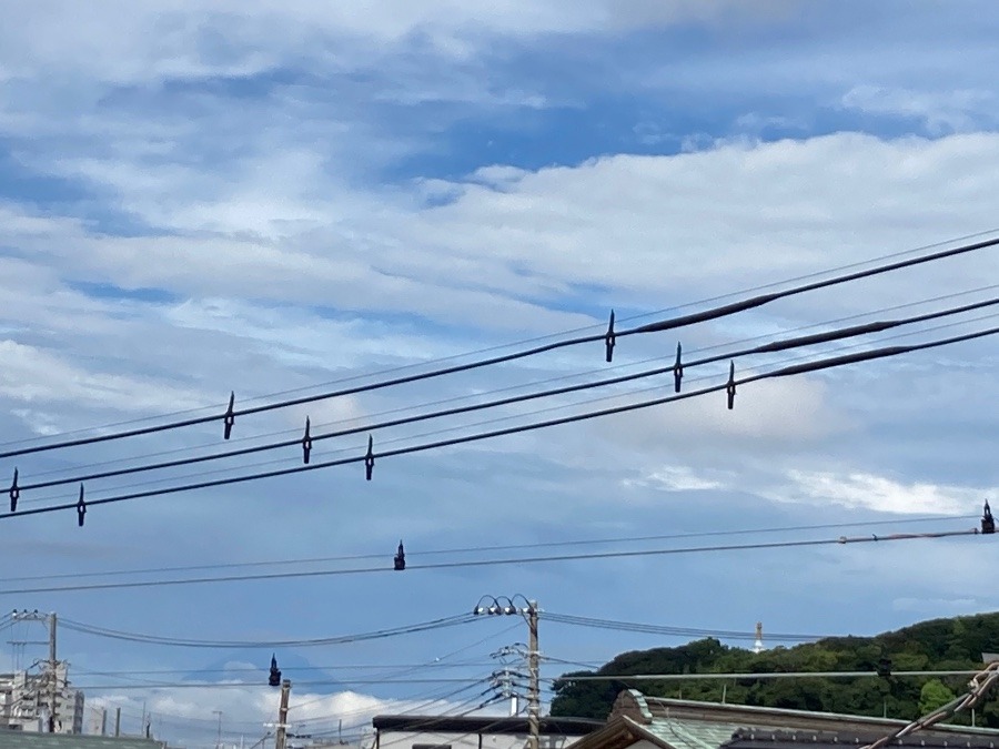 だいぶ日差しが出てきた…♪
