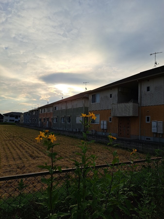 9/14　今朝の空