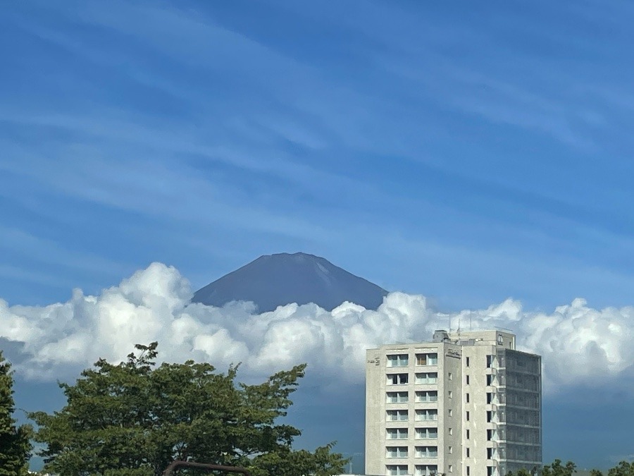 頭を雲の上に出し〜🎵❣️