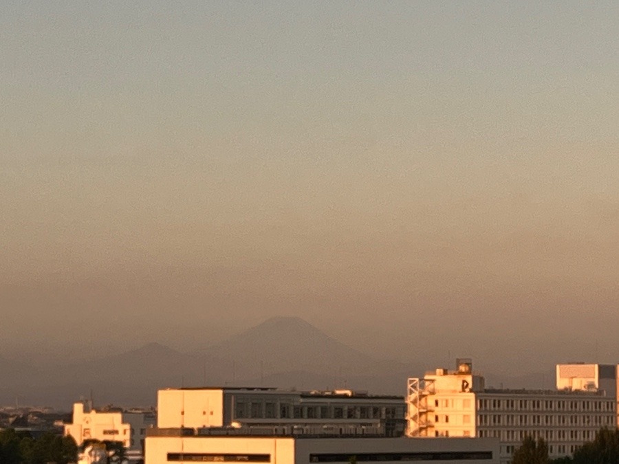 今朝の富士山