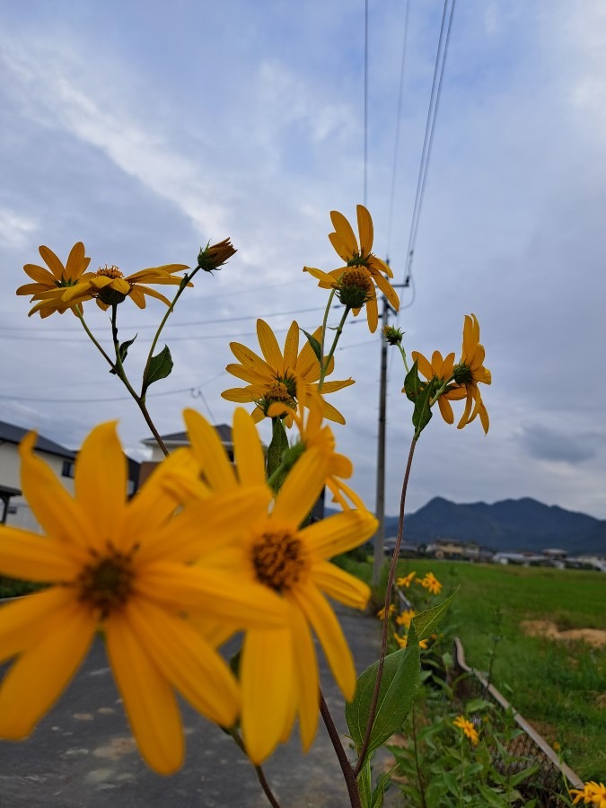 9/17　今朝の空