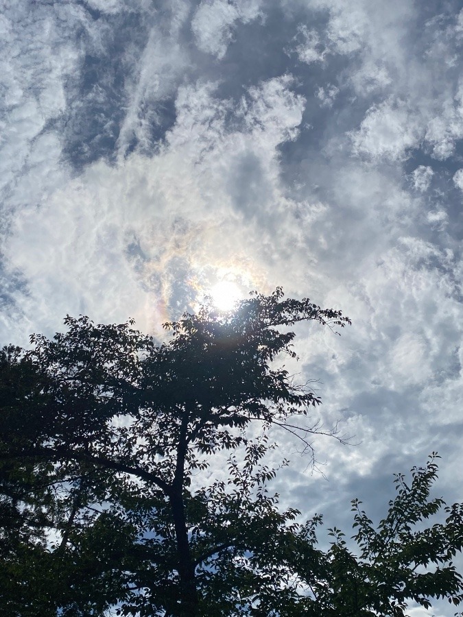 雲と太陽☀️☀️☀️