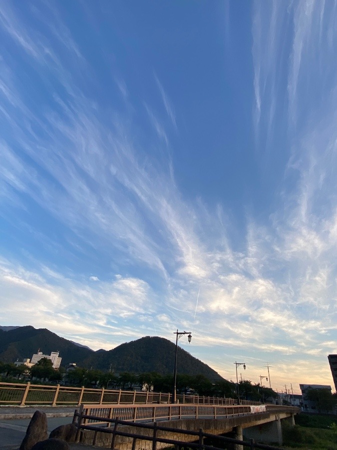 散歩コースの空☀️☀️☀️