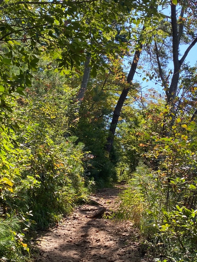 千歳山登山道☀️☀️☀️