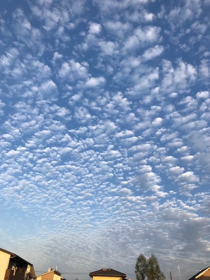 秋の空✨