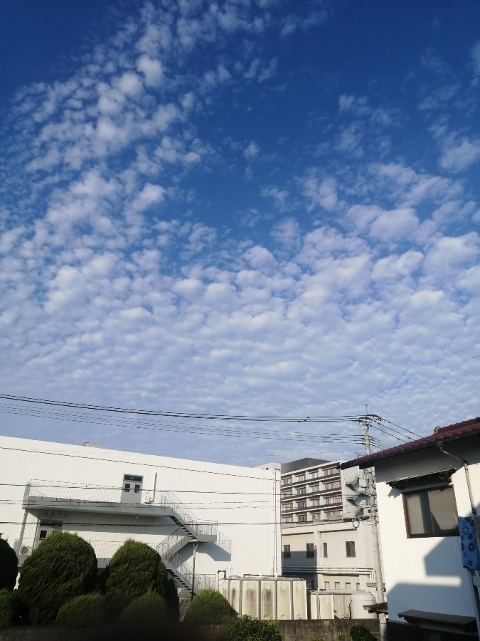 今日の空－9月10日