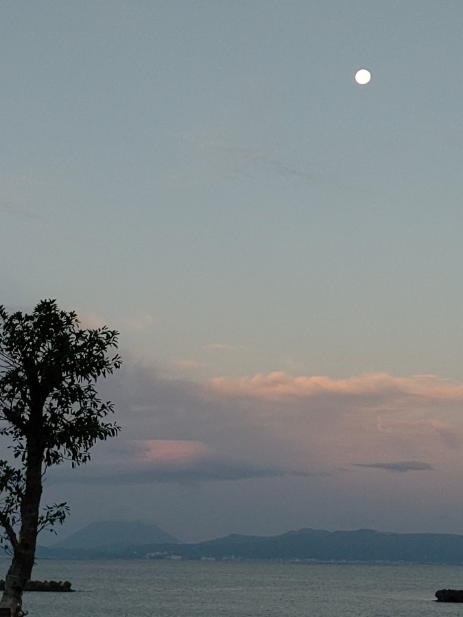 🌝🌾朝だよ！お月さん🌾🌝