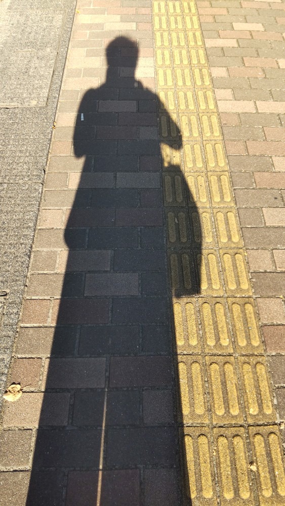 まだ、日が高いのに、長い影❗️