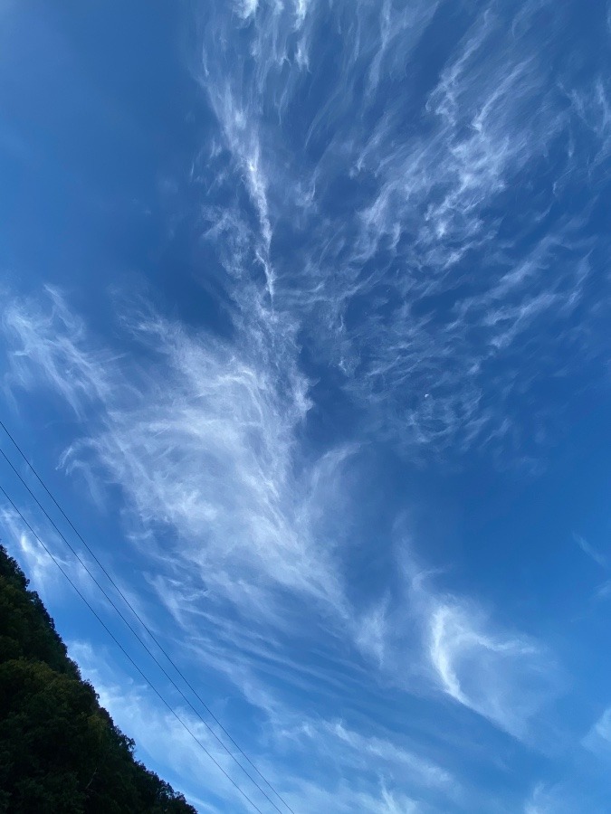 今朝の空❗️