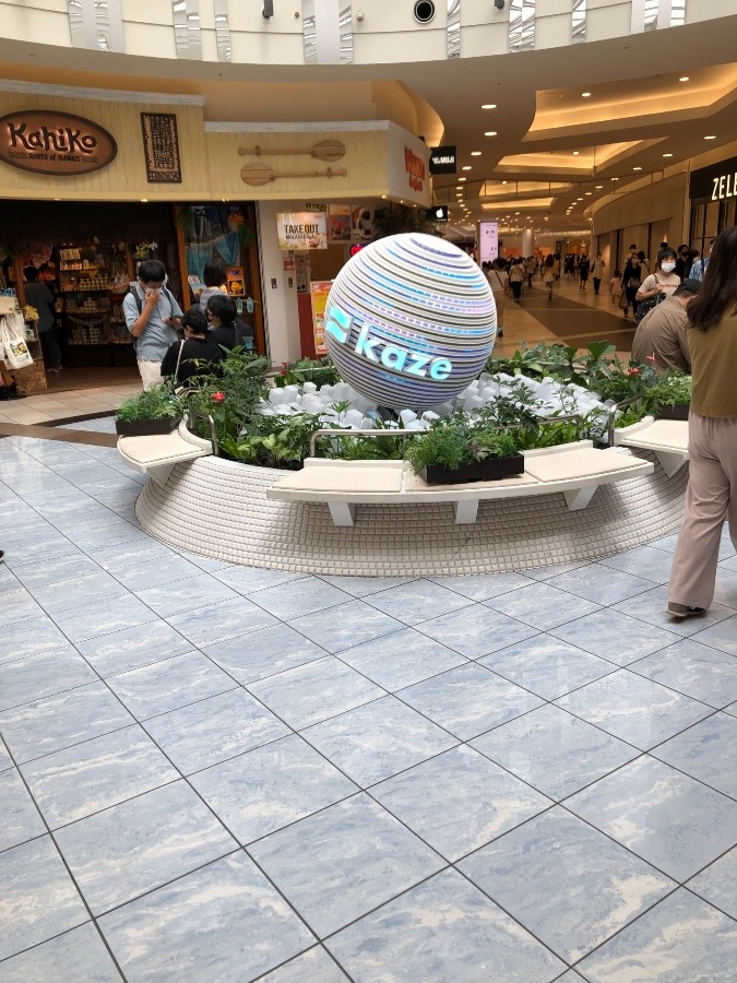 回ってた