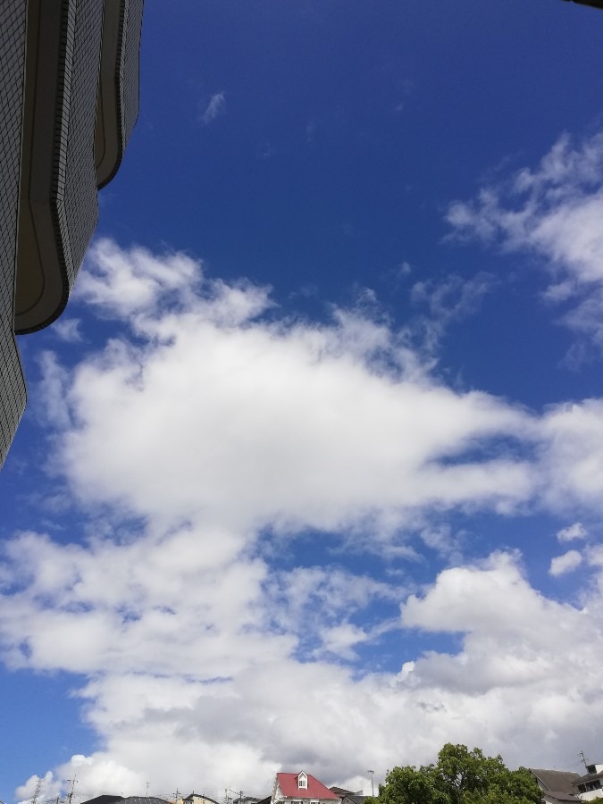 今日の空!