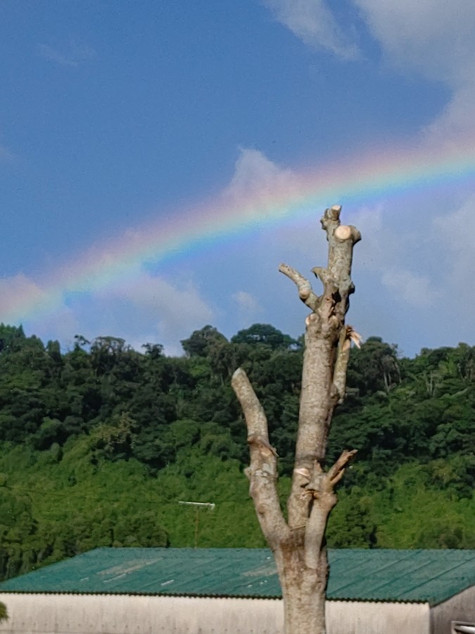 🌈頻ぱんに🌈