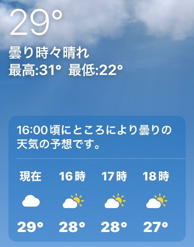 台風一過❣️