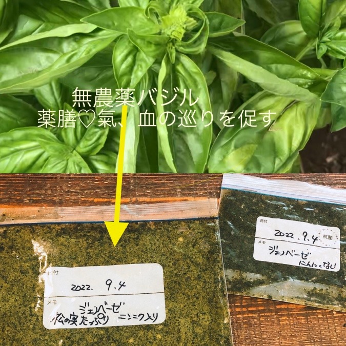 バジル☘️氣血の流れをよくする薬膳