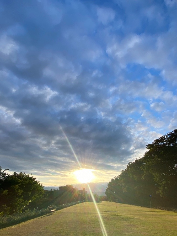 夕陽🌇🌇🌇