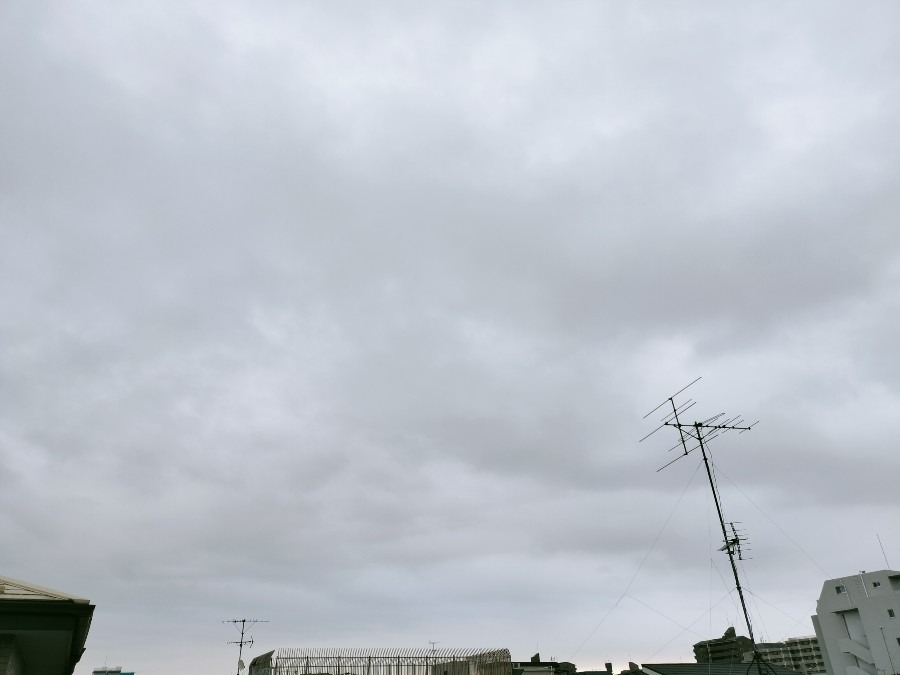 9月11日朝の空