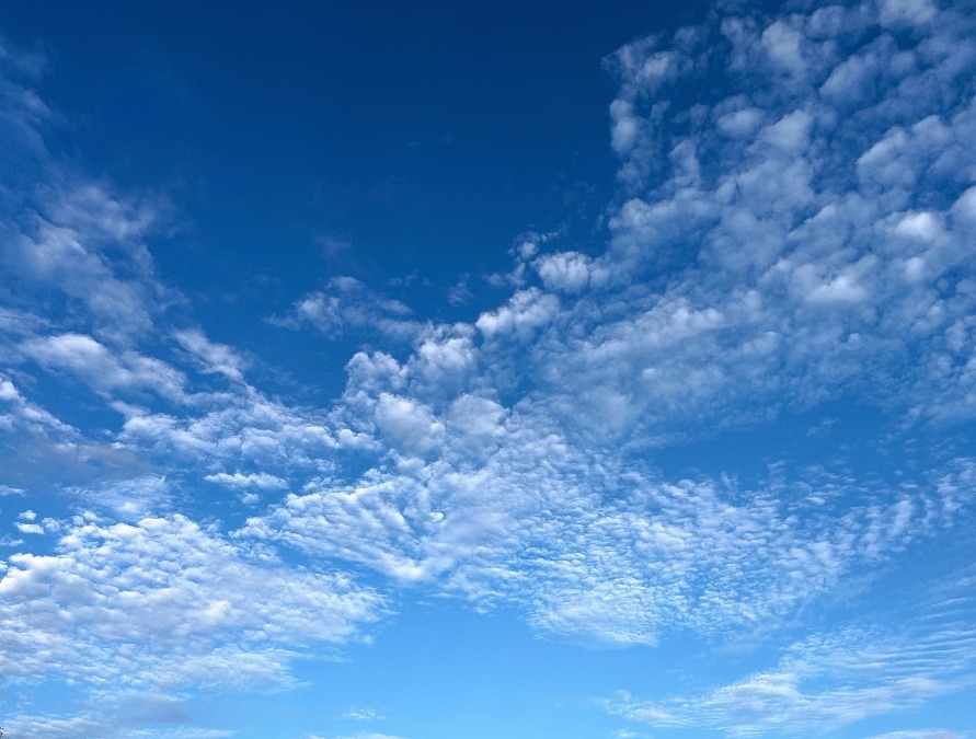 【朝の空】