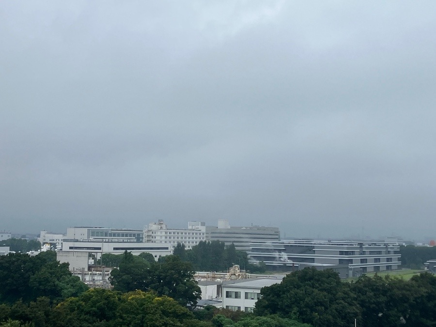 今朝の富士山