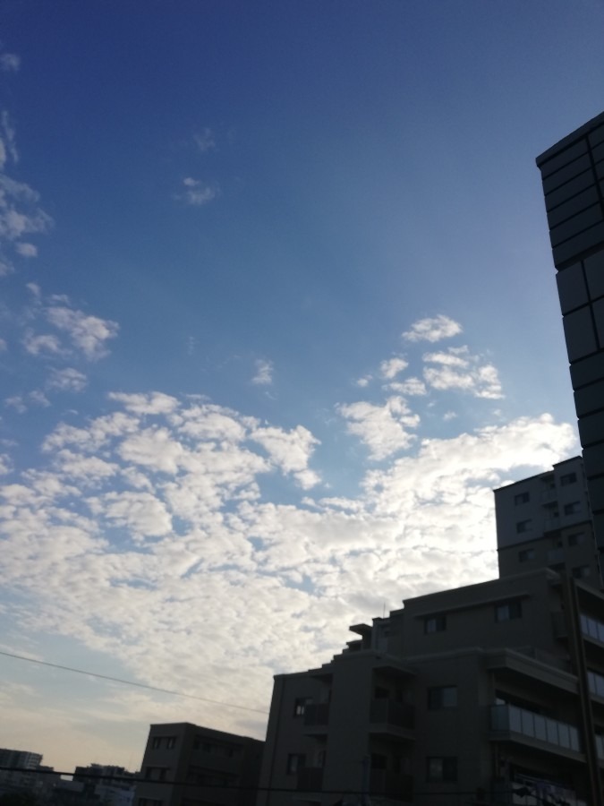 今日の空!