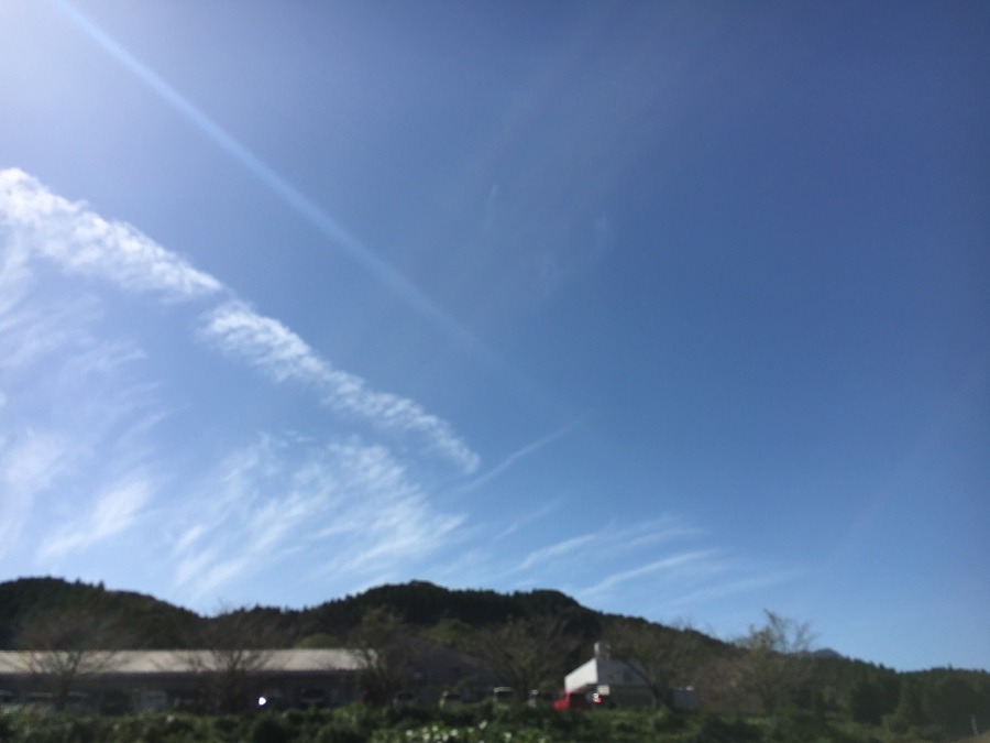 ⭕️ 自然→   いま空（≧∇≦）‼️ 宮崎市の空❣️ (^O^)