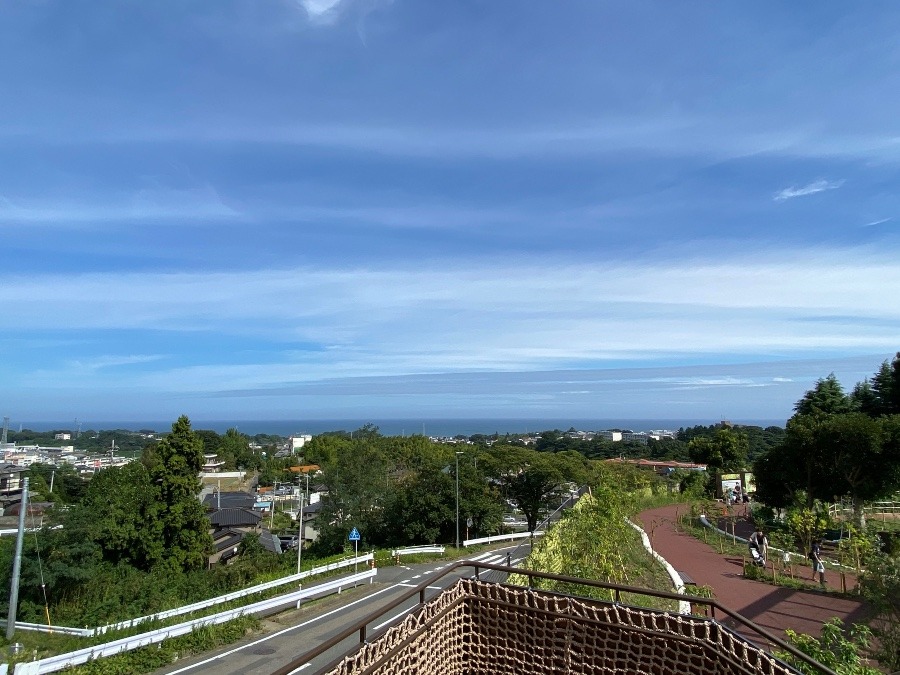 動物園からの景色✨