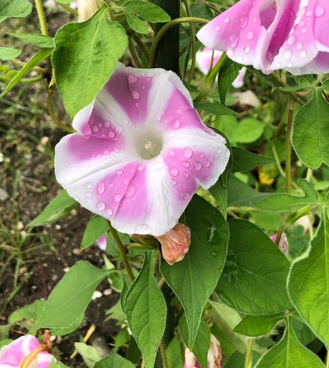 🌸頑張ったね🌸