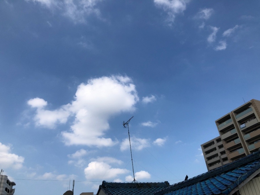 雲が流れてる